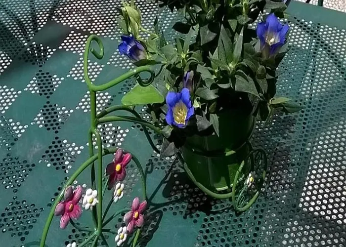 France Eiffel Hotell